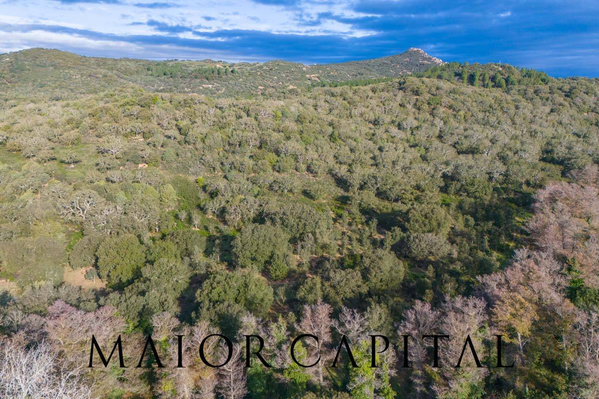 Terreno Agricolo in vendita a Padru