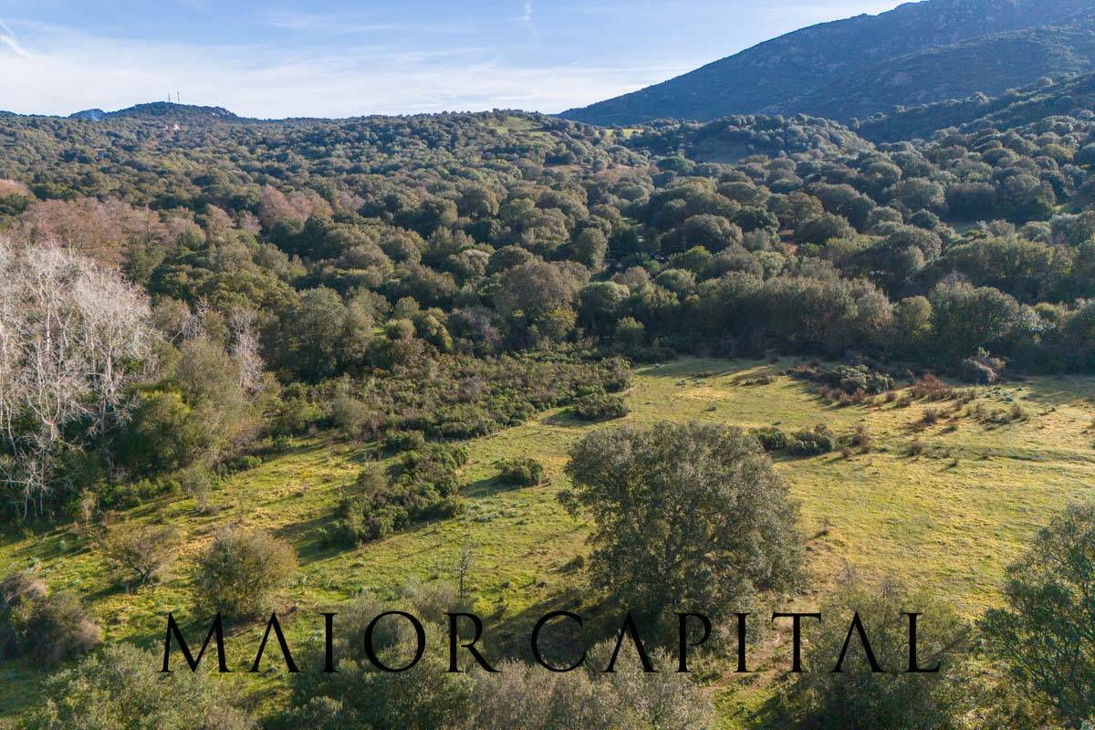 Terreno Agricolo in vendita a Padru