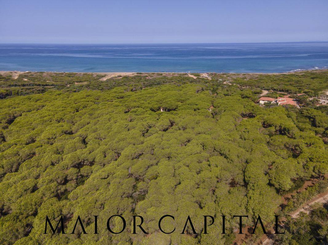 Attivit commerciale in vendita a Cuglieri