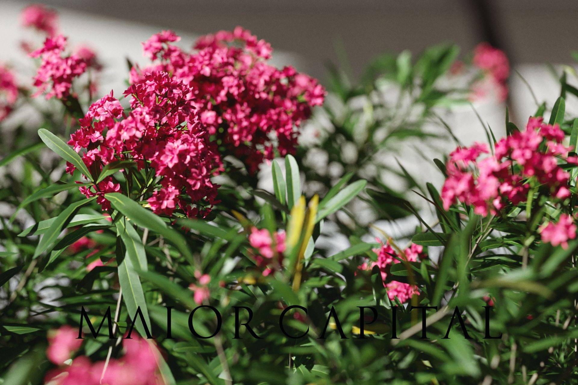 Villette a schiera in vendita a Budoni