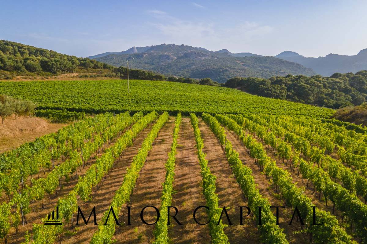 Terreno Agricolo in vendita a Calangianus