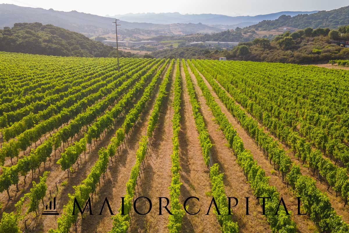 Terreno Agricolo in vendita a Calangianus