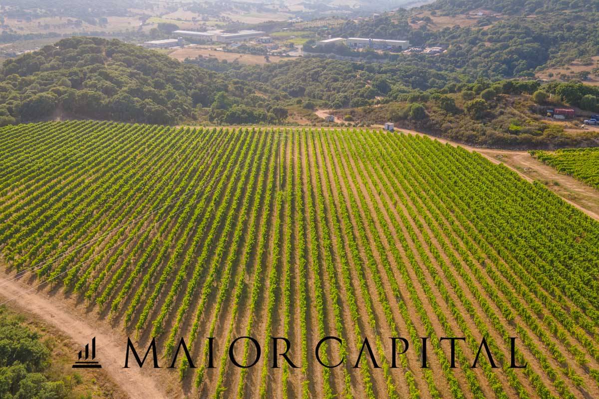 Terreno Agricolo in vendita a Calangianus