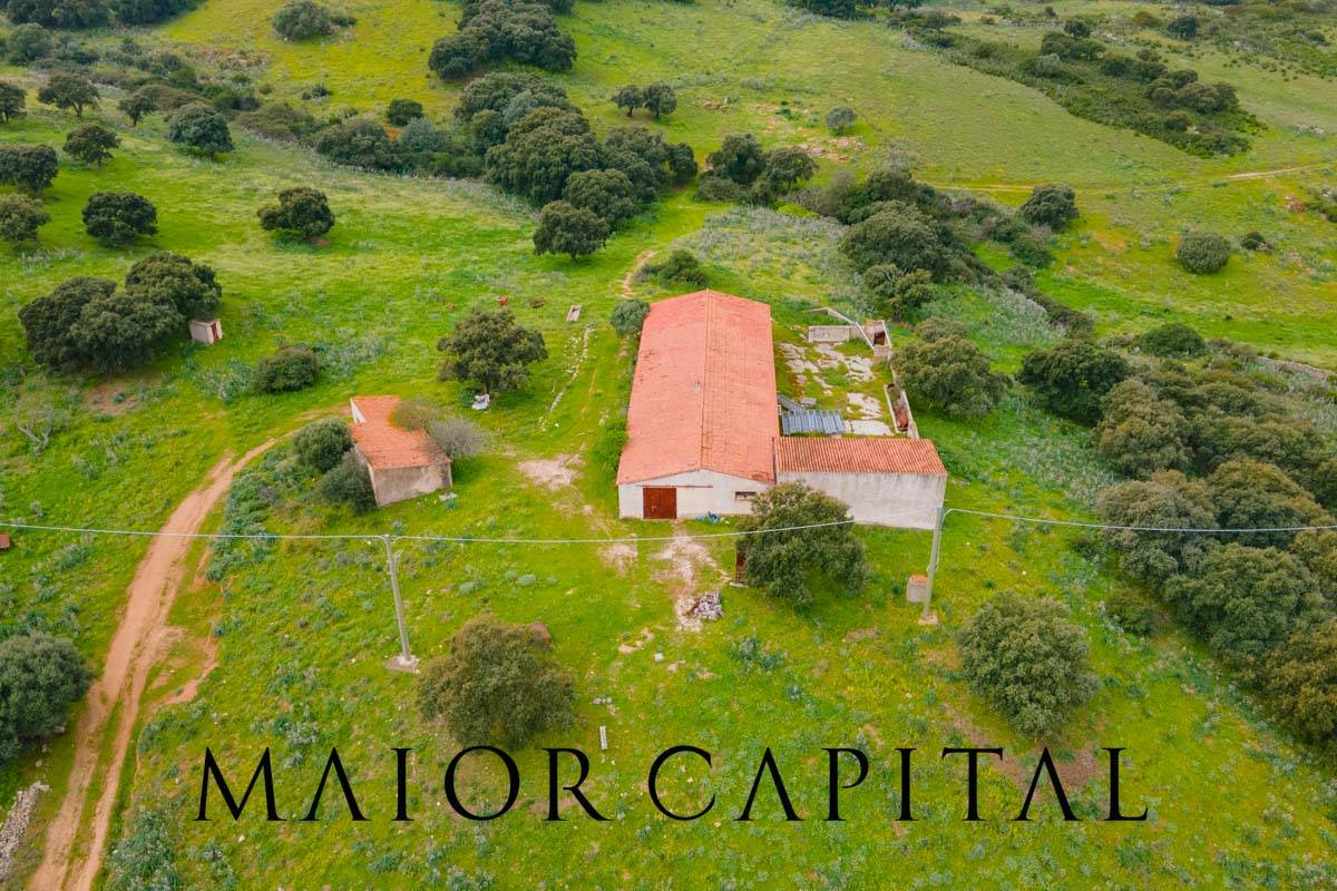 Terreno Agricolo in vendita a Berchidda, Osseddu