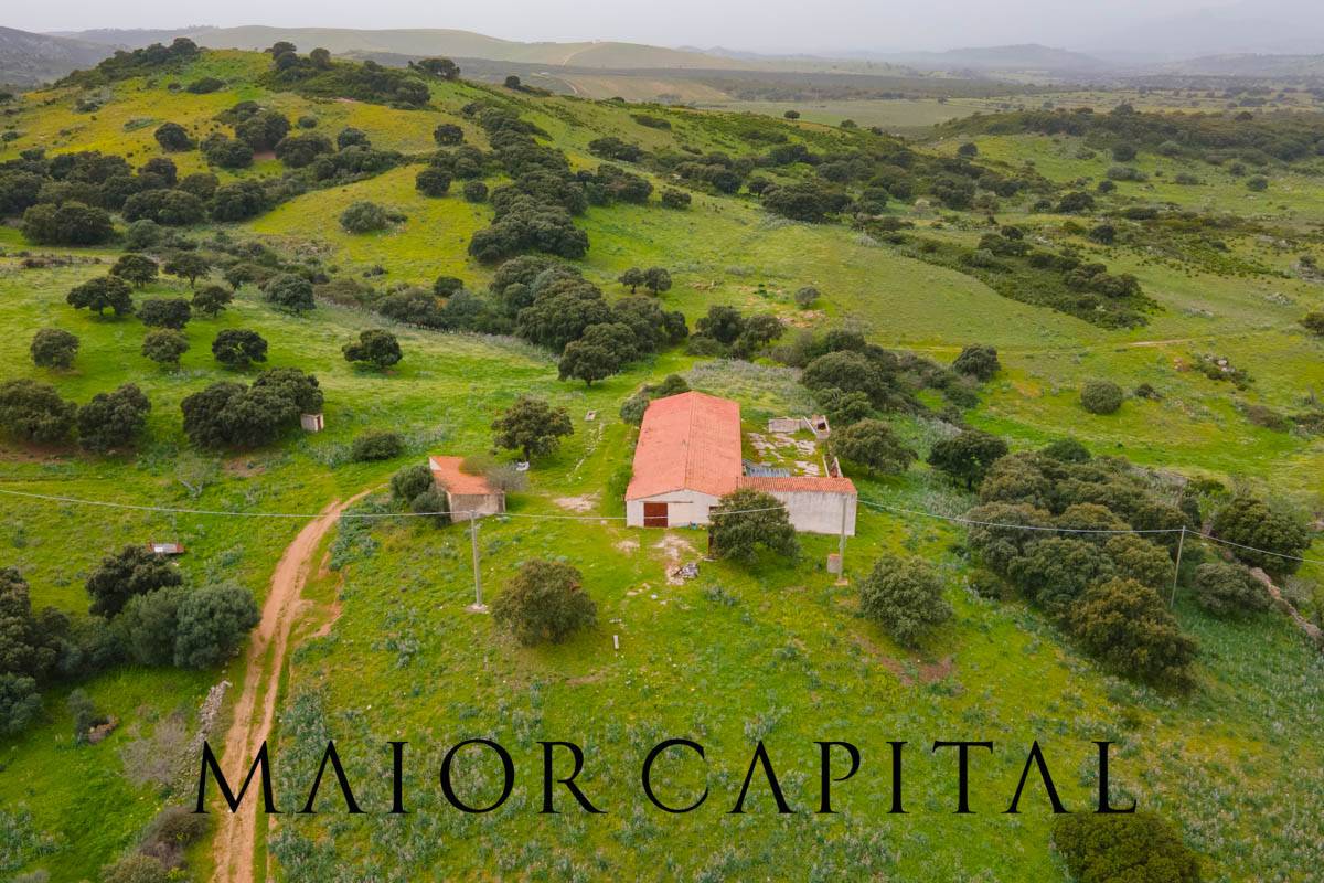 Terreno Agricolo in vendita a Berchidda, Osseddu