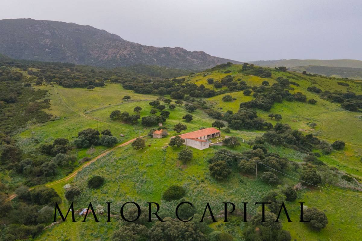 Terreno Agricolo in vendita a Berchidda, Osseddu