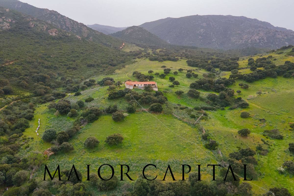 Terreno Agricolo in vendita a Berchidda, Osseddu
