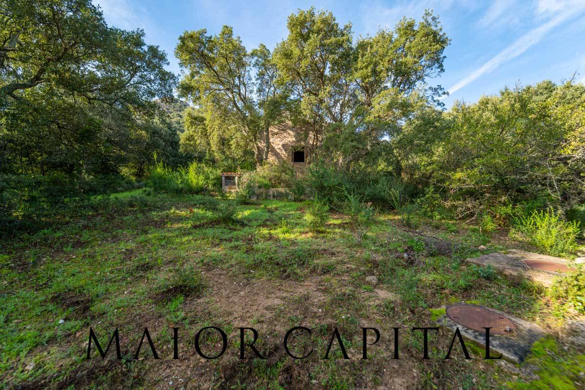 Terreno Agricolo in vendita a Calangianus