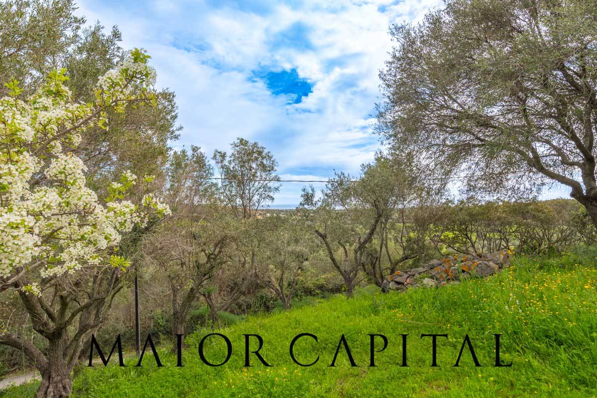 Casa singola in vendita a Budoni, Maiorca