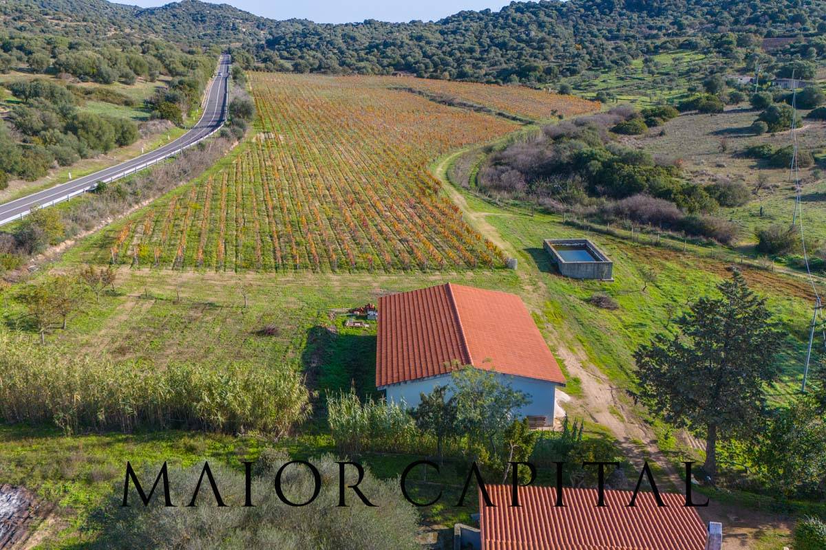 Terreno Agricolo in vendita a Oliena