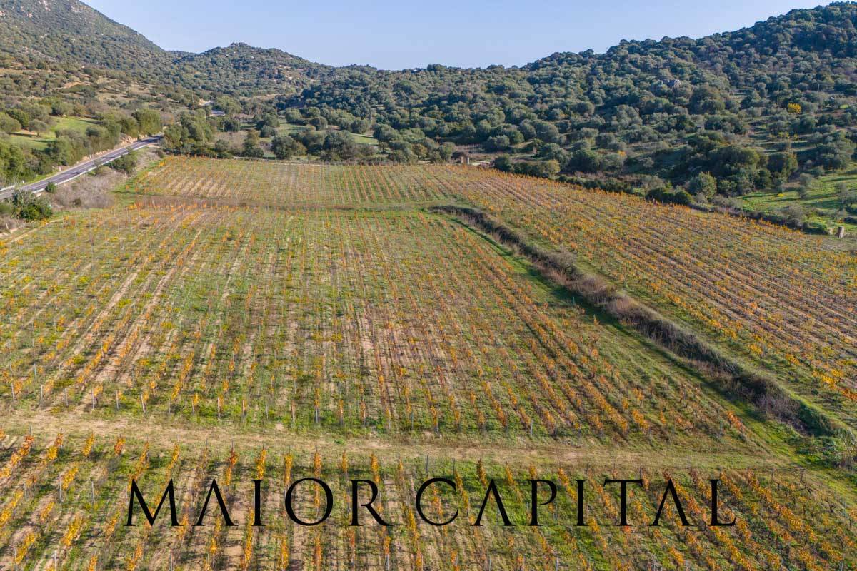 Terreno Agricolo in vendita a Oliena
