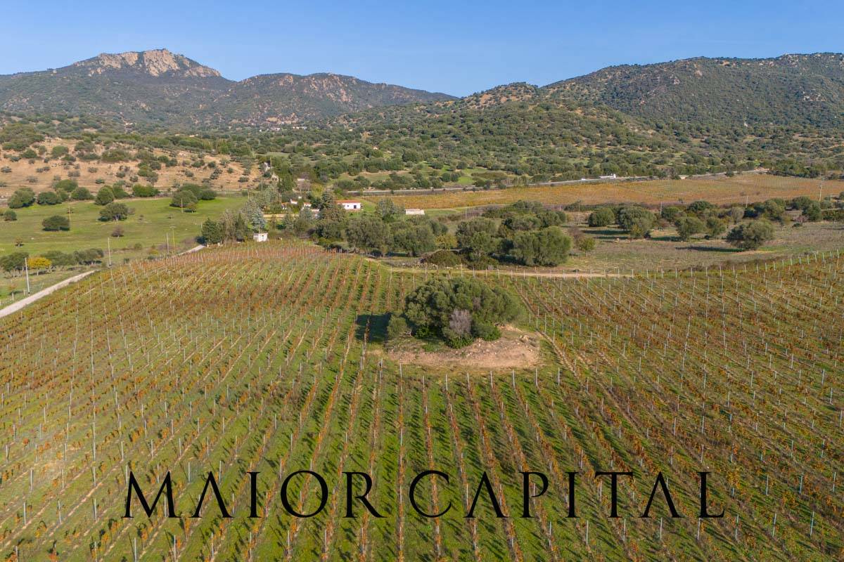 Terreno Agricolo in vendita a Oliena
