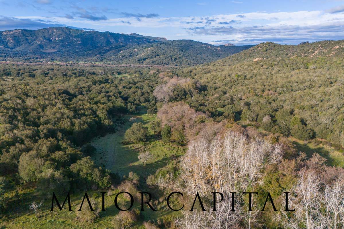 Terreno Agricolo in vendita a Padru