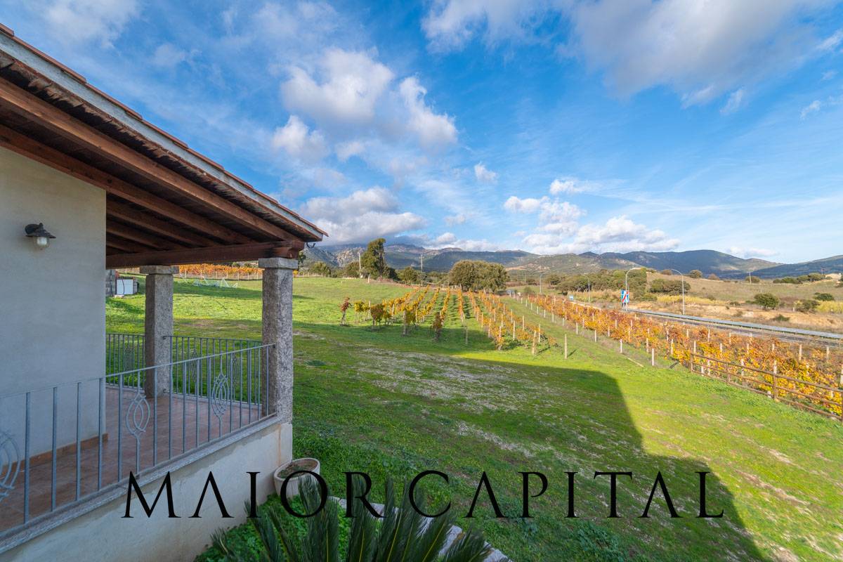 Villa in vendita a Berchidda