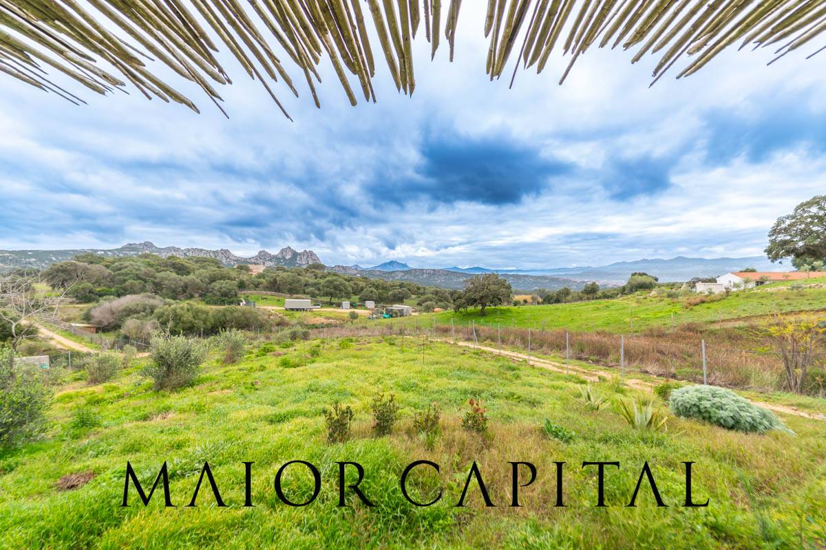 Villa in vendita a Arzachena