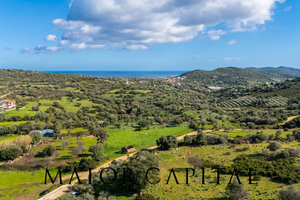 Casa singola in vendita a Budoni, Tamarispa