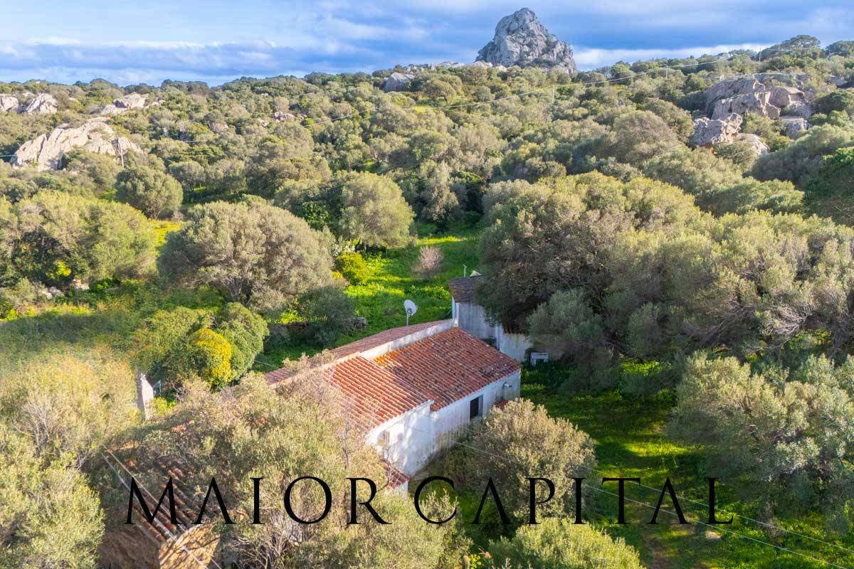 Casa singola in vendita a Olbia