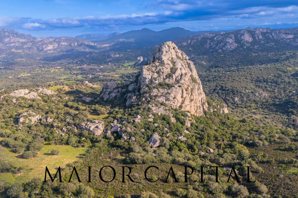 Casa singola in vendita a Olbia