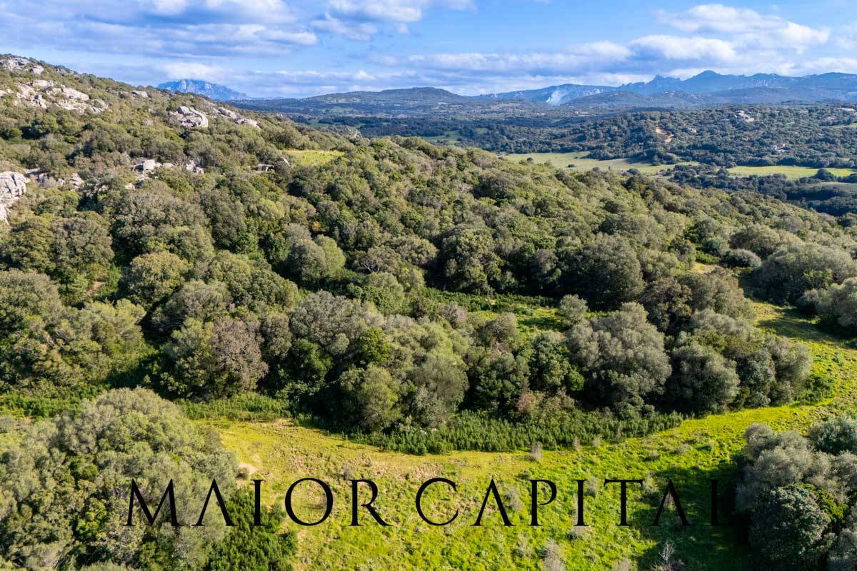 Terreno Agricolo in vendita a Arzachena