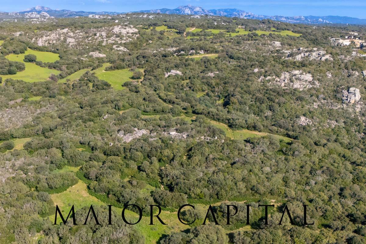 Terreno Agricolo in vendita a Arzachena