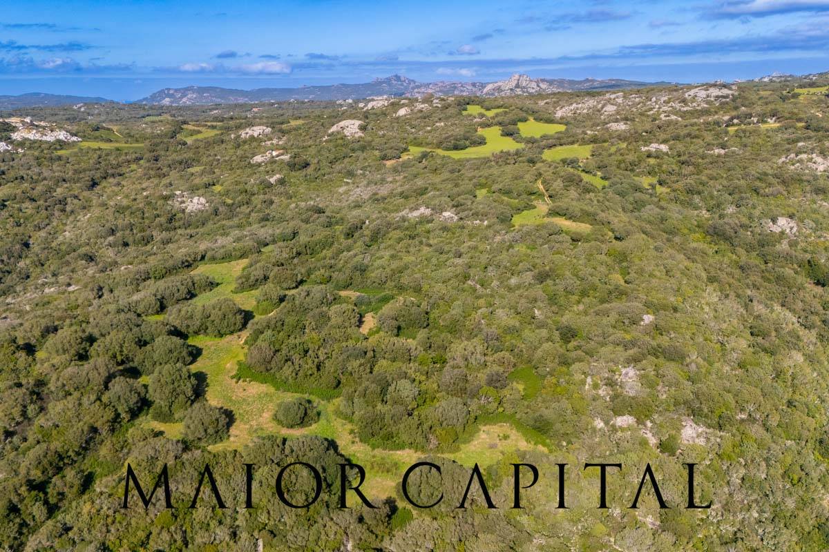 Terreno Agricolo in vendita a Arzachena