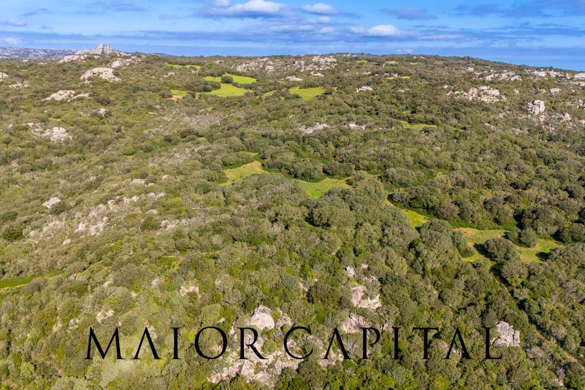 Terreno Agricolo in vendita a Arzachena