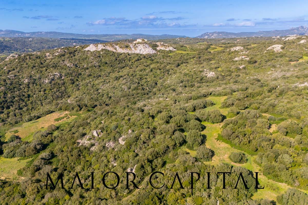 Terreno Agricolo in vendita a Arzachena