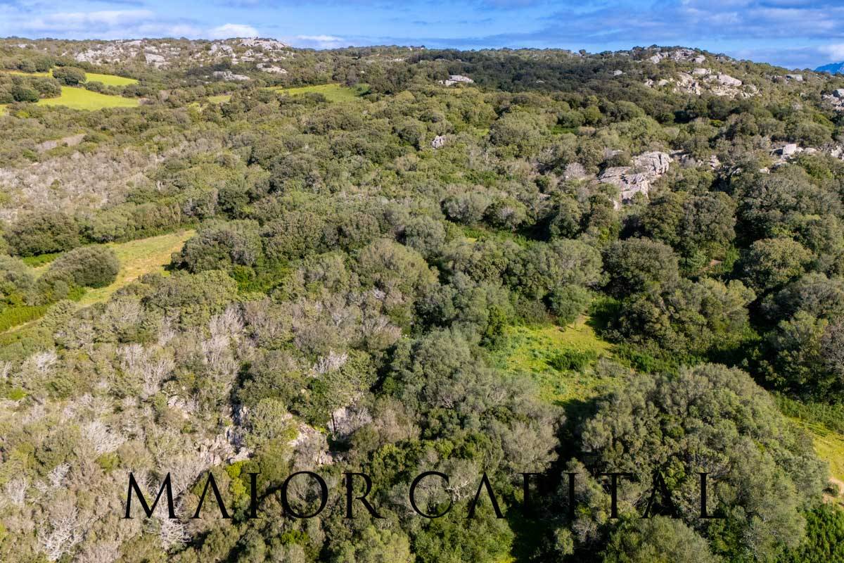 Terreno Agricolo in vendita a Arzachena
