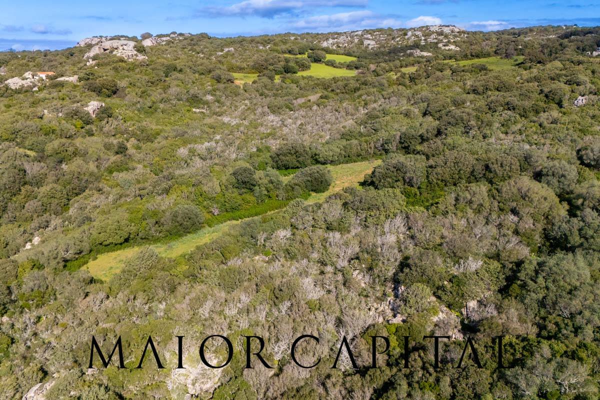 Terreno Agricolo in vendita a Arzachena