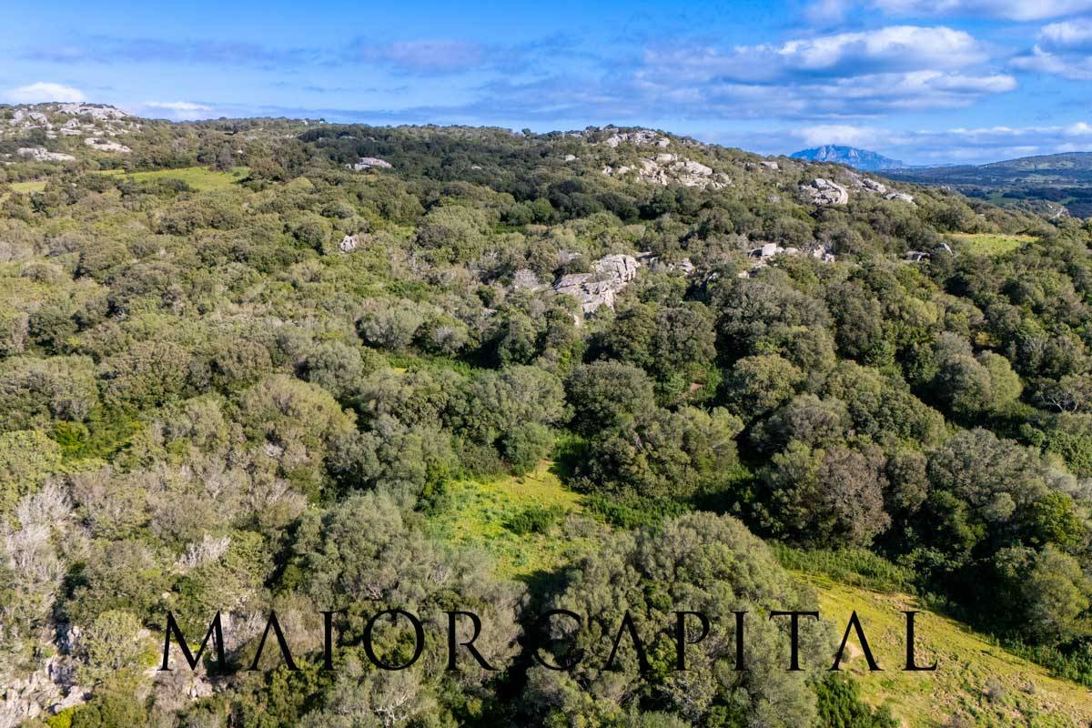 Terreno Agricolo in vendita a Arzachena