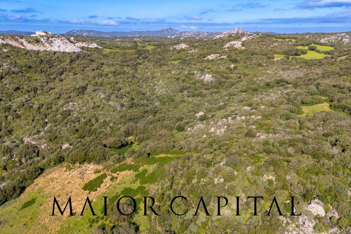 Terreno Agricolo in vendita a Arzachena