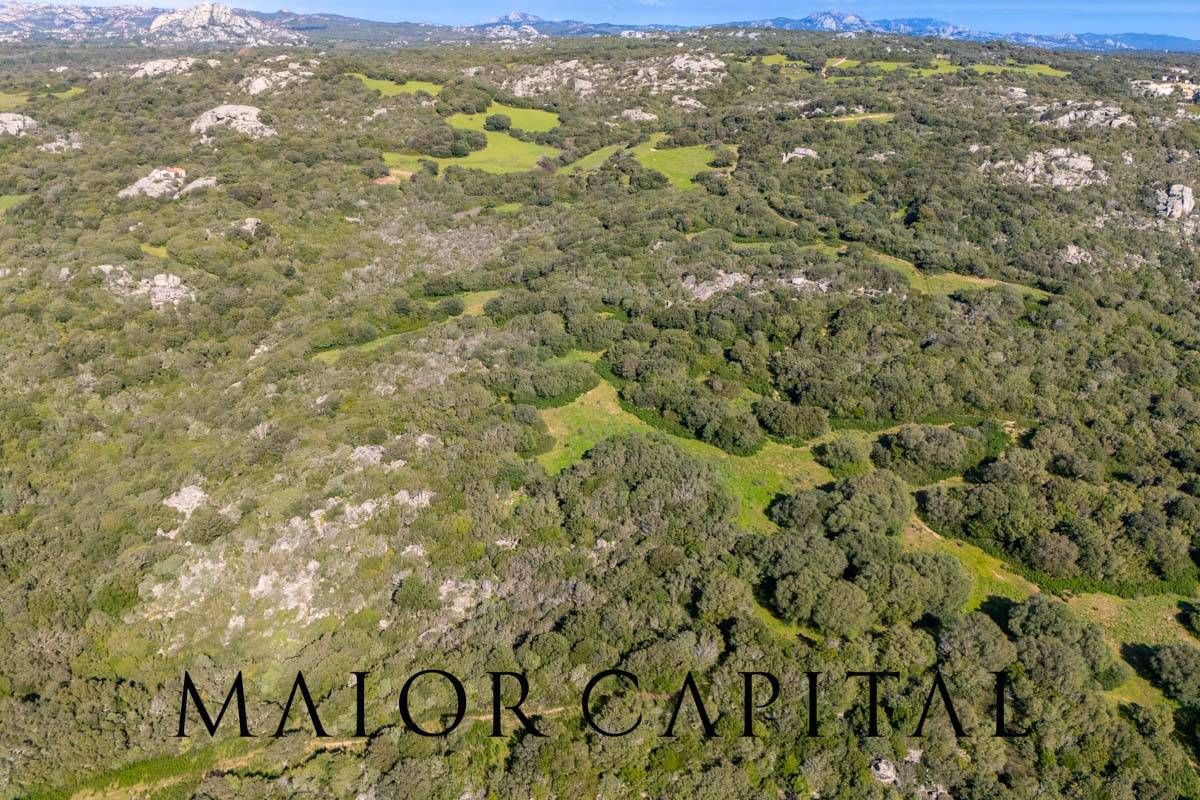 Terreno Agricolo in vendita a Arzachena