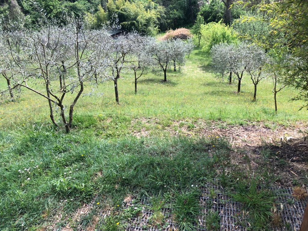 Terreno Agricolo in vendita a Poggibonsi