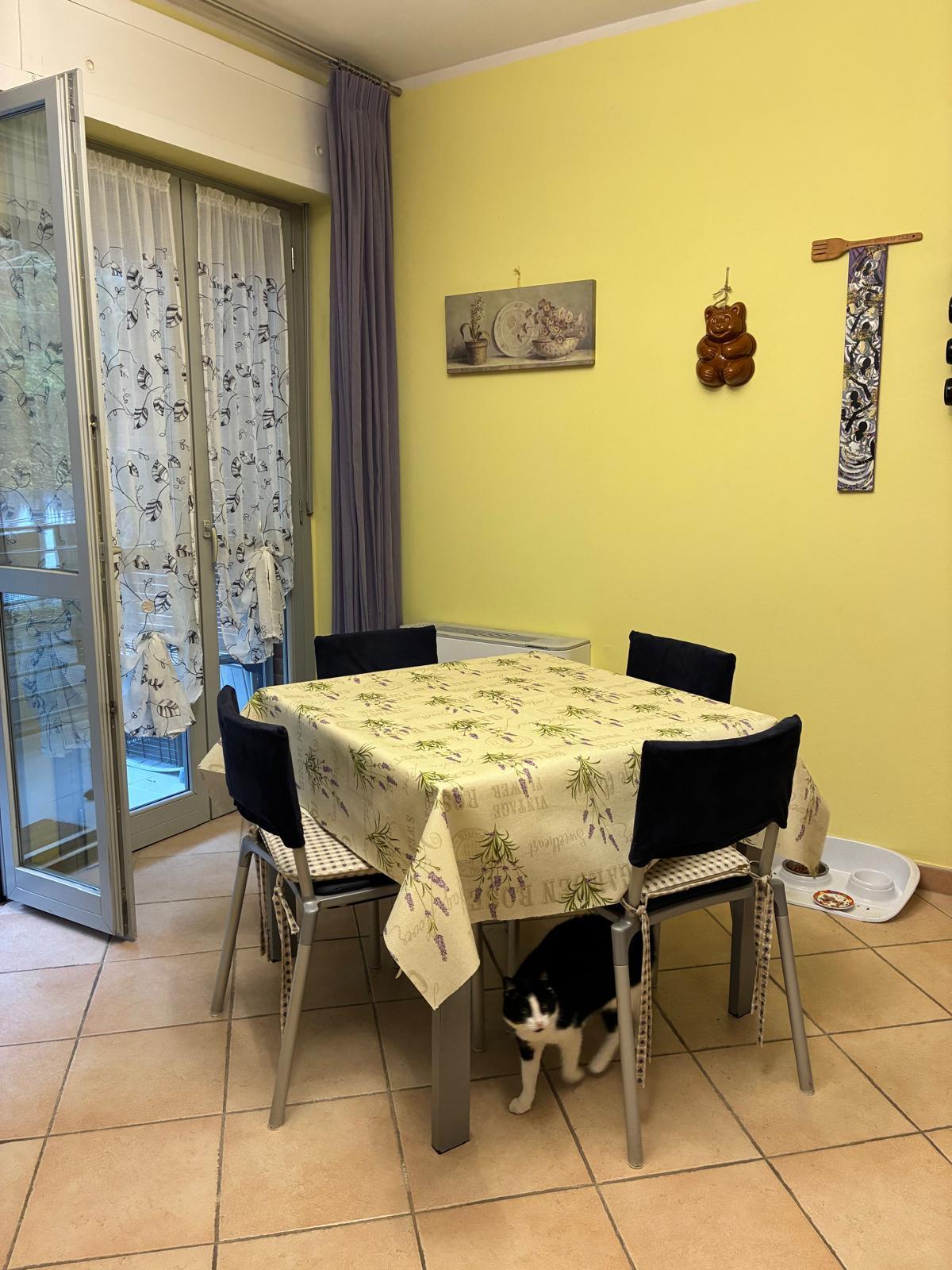 Casa indipendente con terrazzi a Poggibonsi