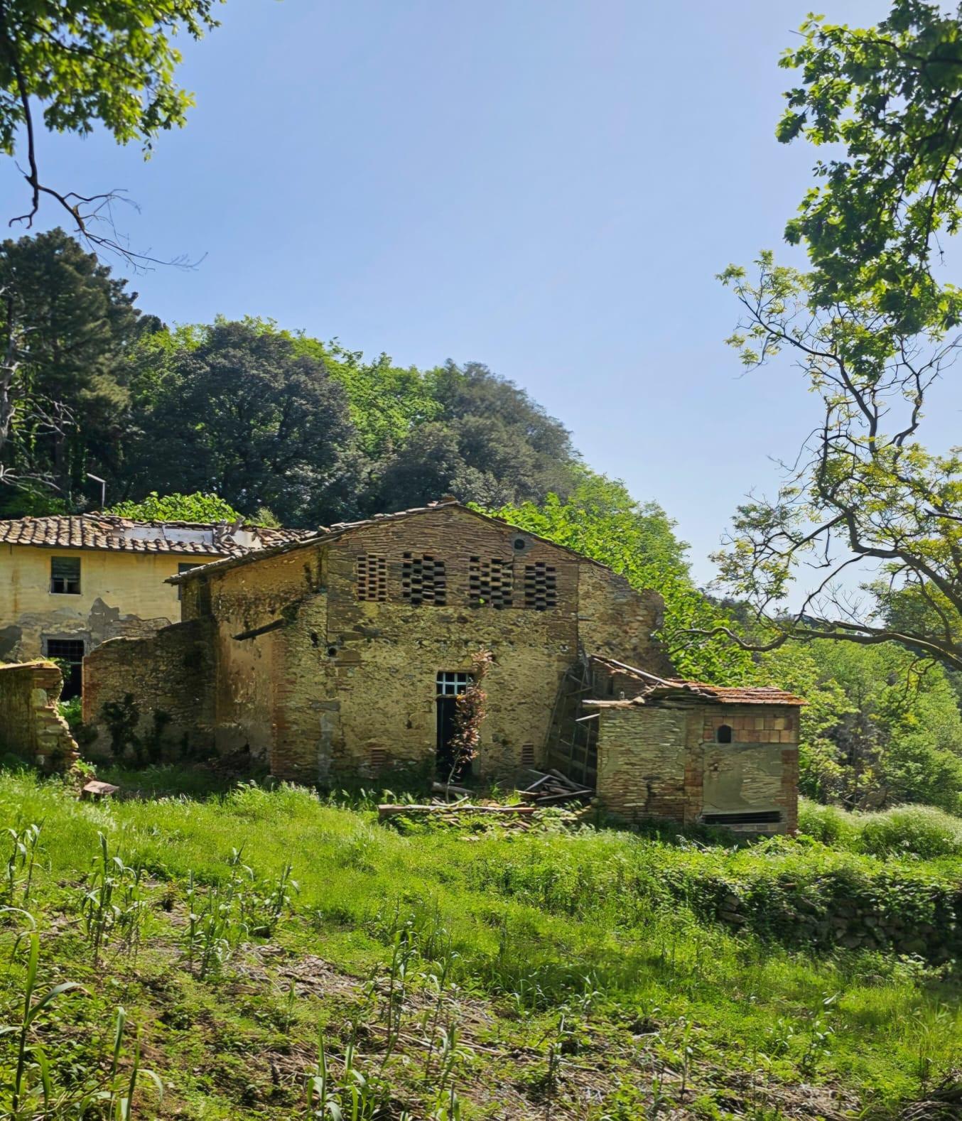 immagine annuncio 3 di 4