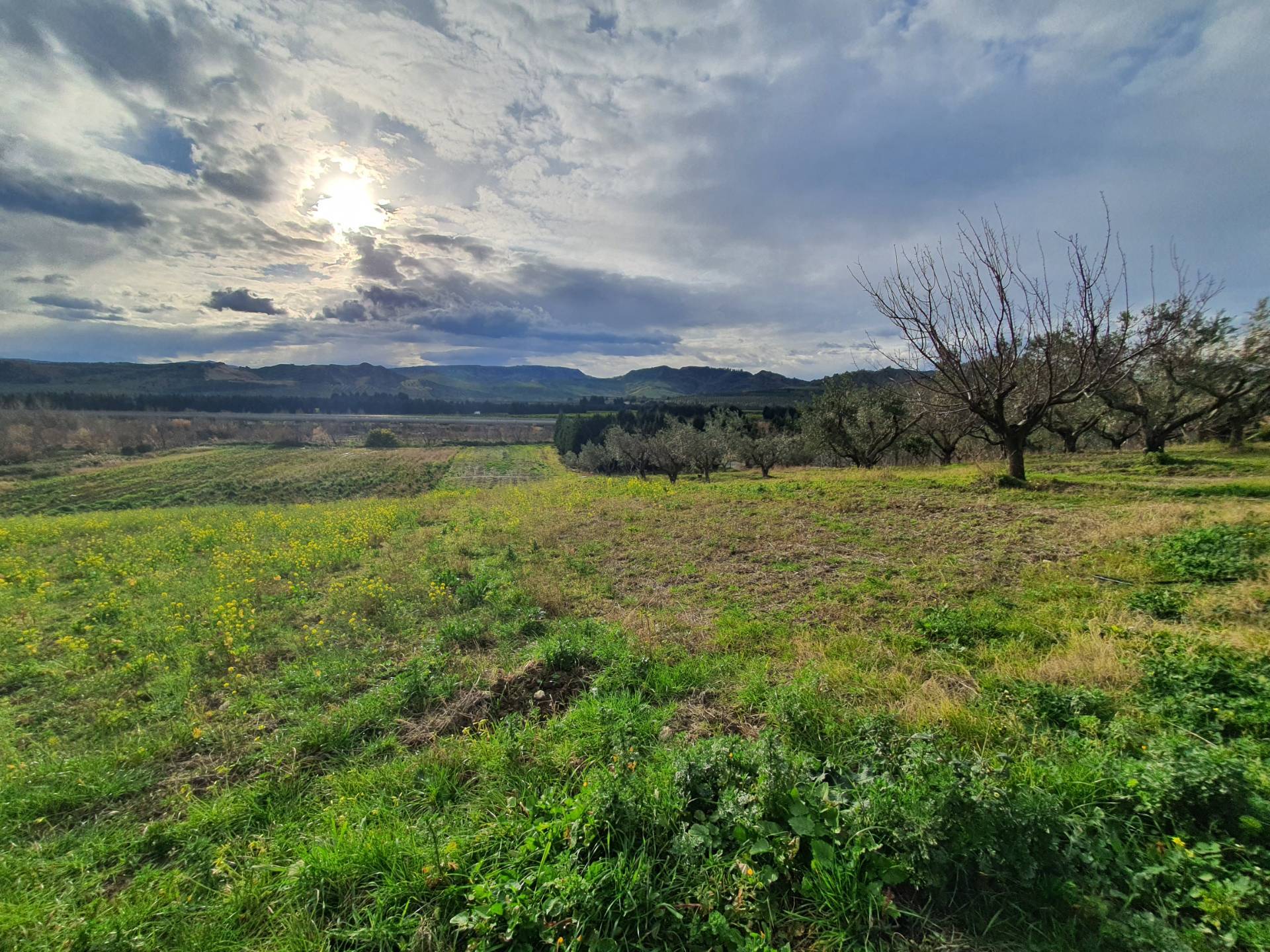 Terreno in vendita, Catanzaro germaneto