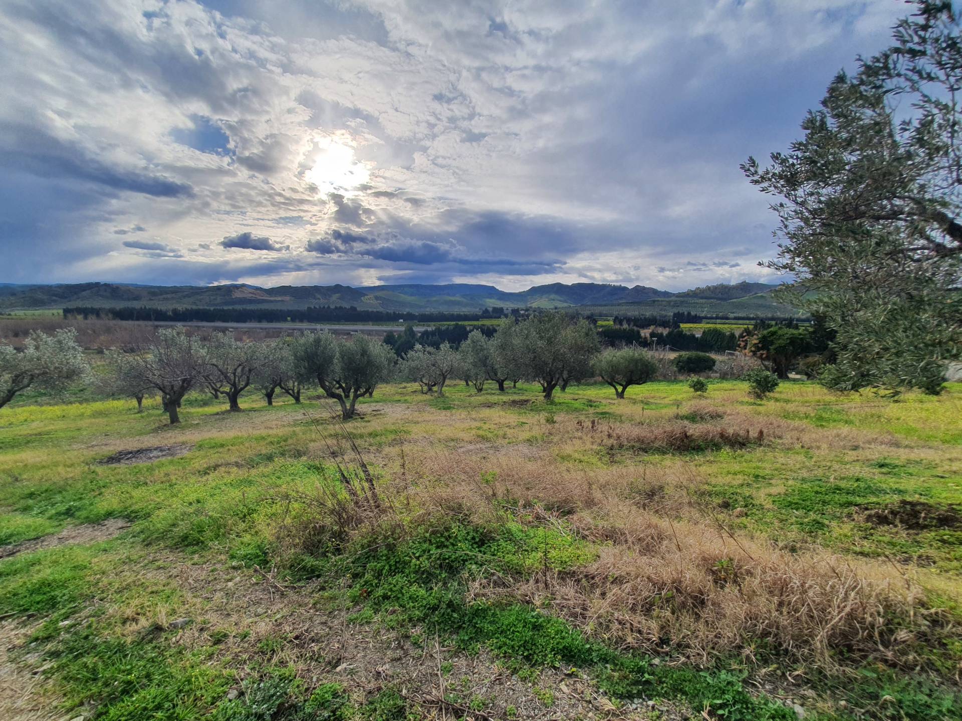 Terreno Agricolo in vendita a Catanzaro, Germaneto
