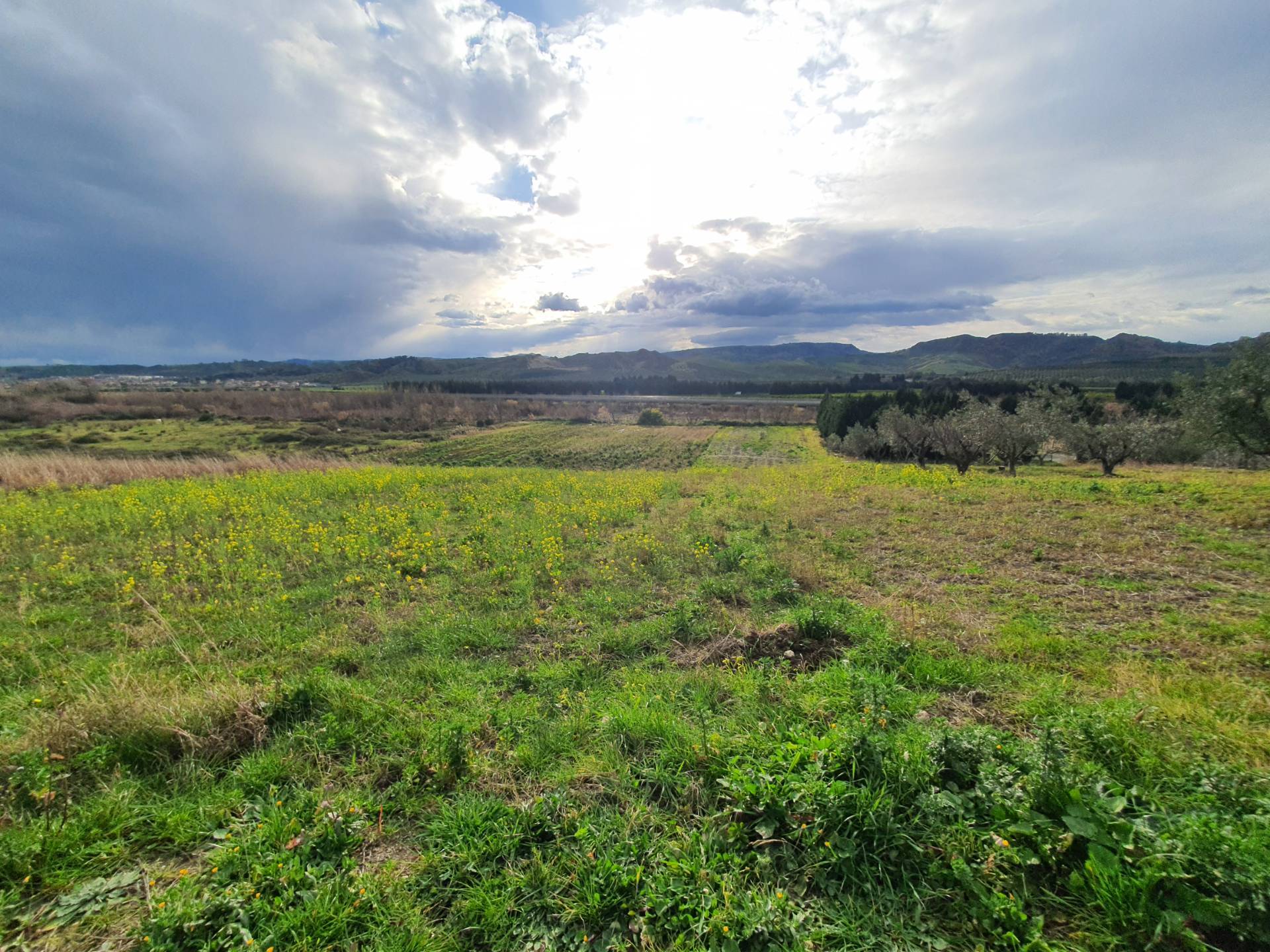 Terreno Agricolo in vendita a Catanzaro, Germaneto