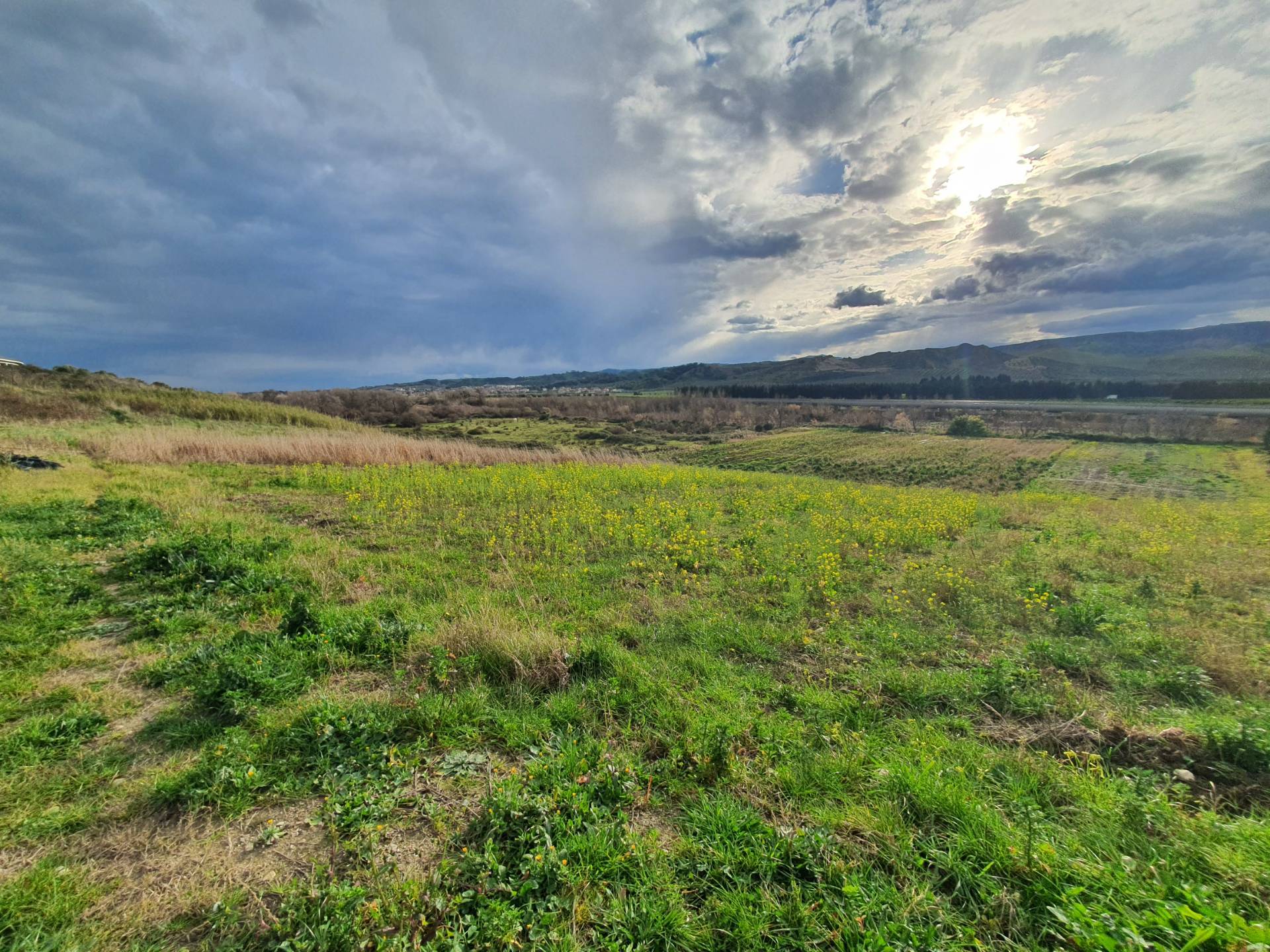 Terreno Agricolo in vendita a Catanzaro, Germaneto