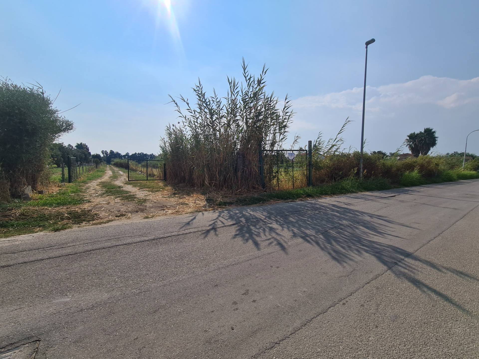 immagine annuncio 4 di 6