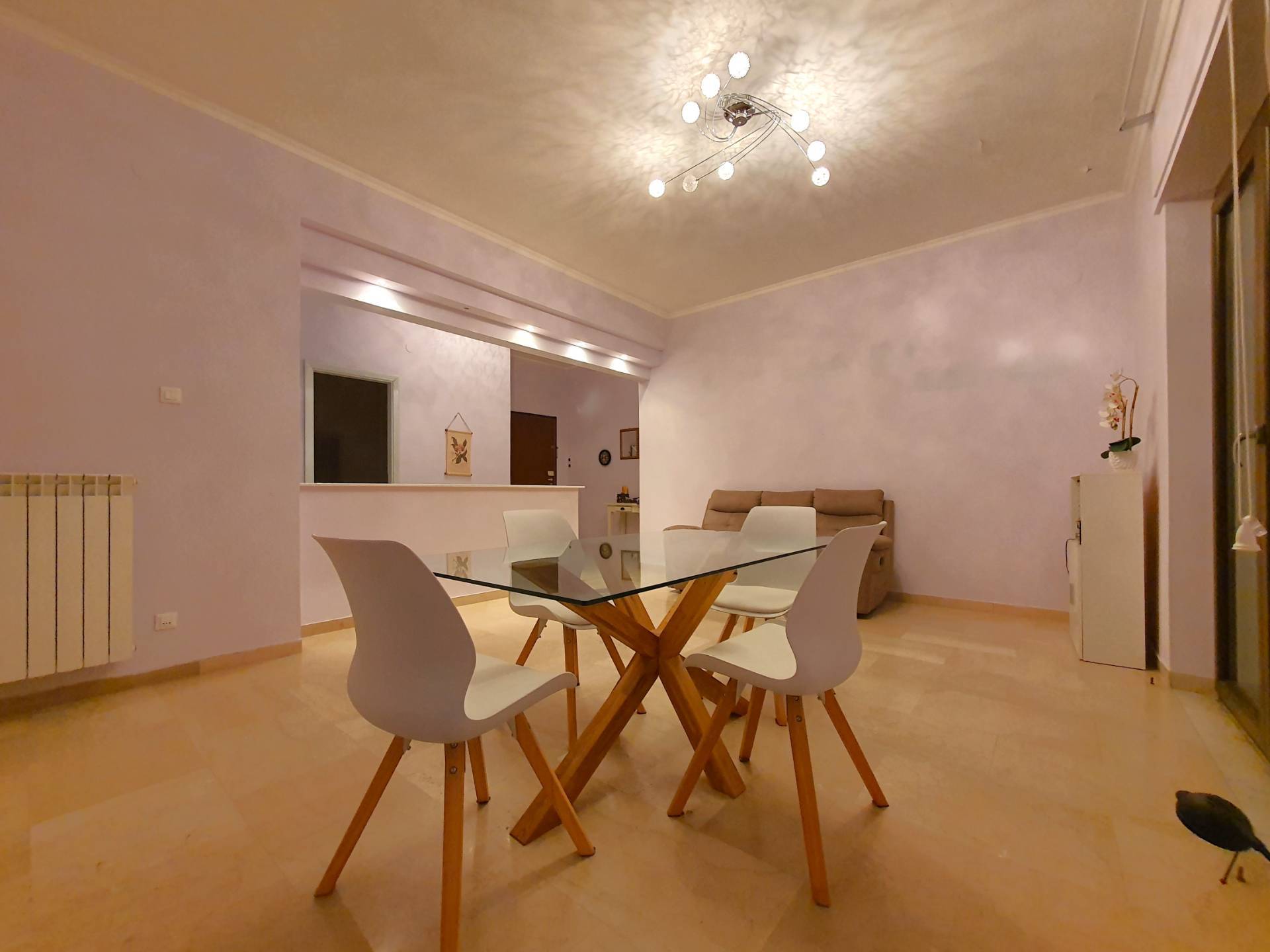 Appartamento in affitto a Catanzaro, Stadio