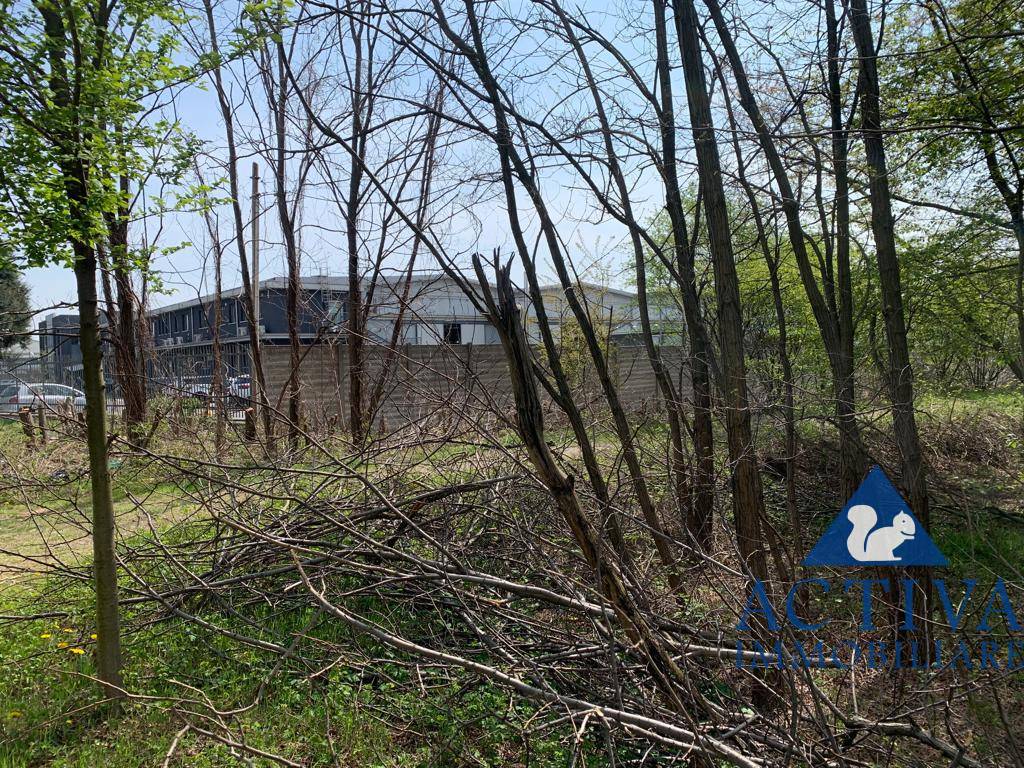 Terreno Agricolo in vendita a Cassano Magnago