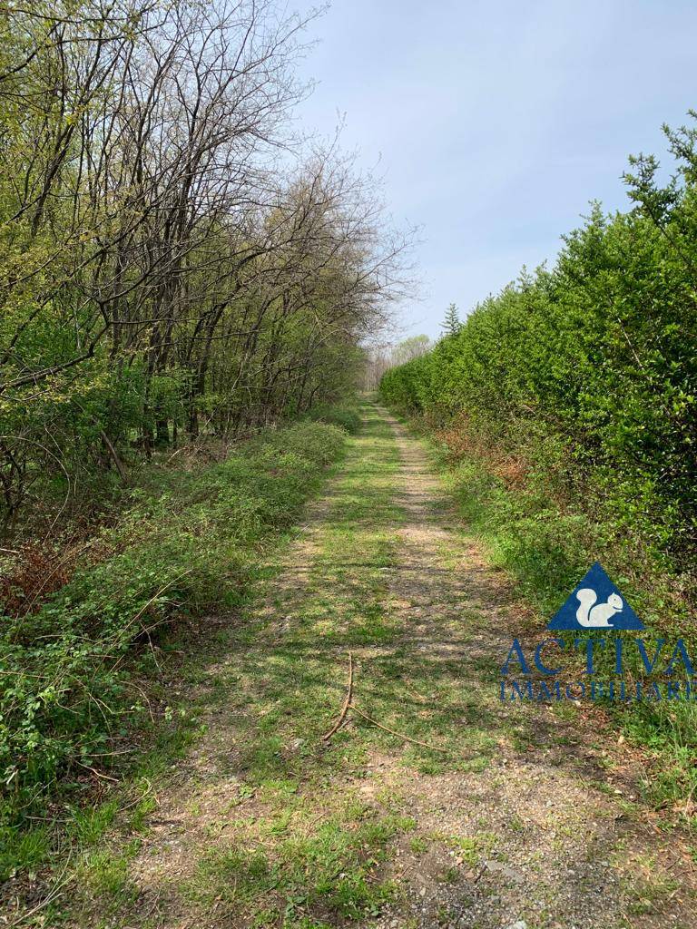 immagine annuncio 2 di 8