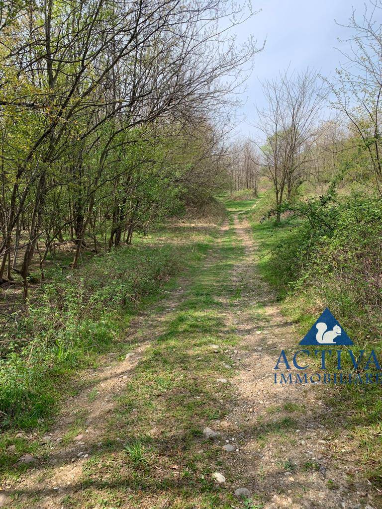 immagine annuncio 3 di 8