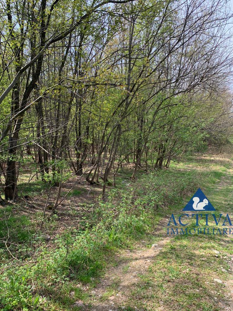 immagine annuncio 4 di 8