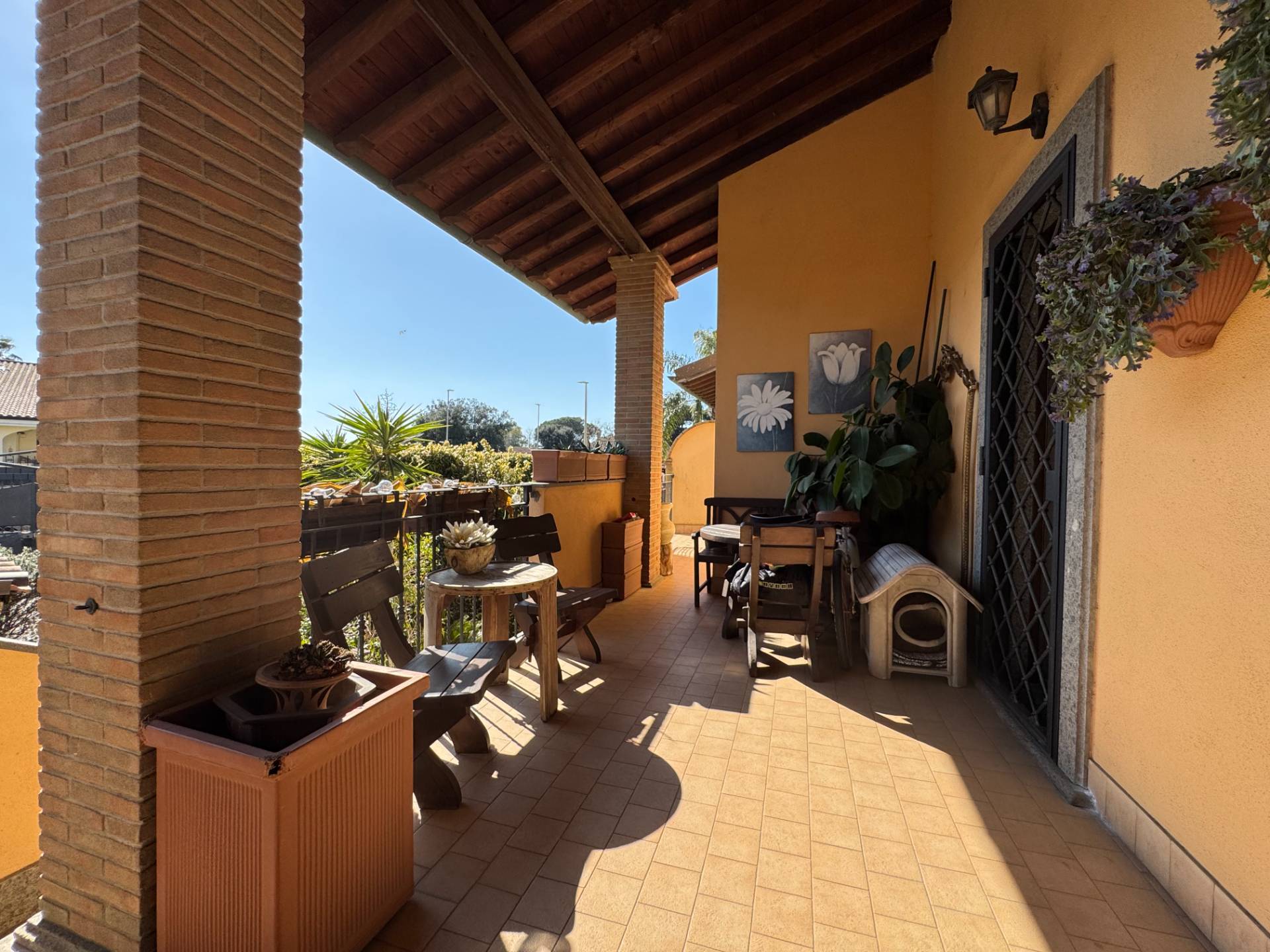 immagine annuncio 5 di 6
