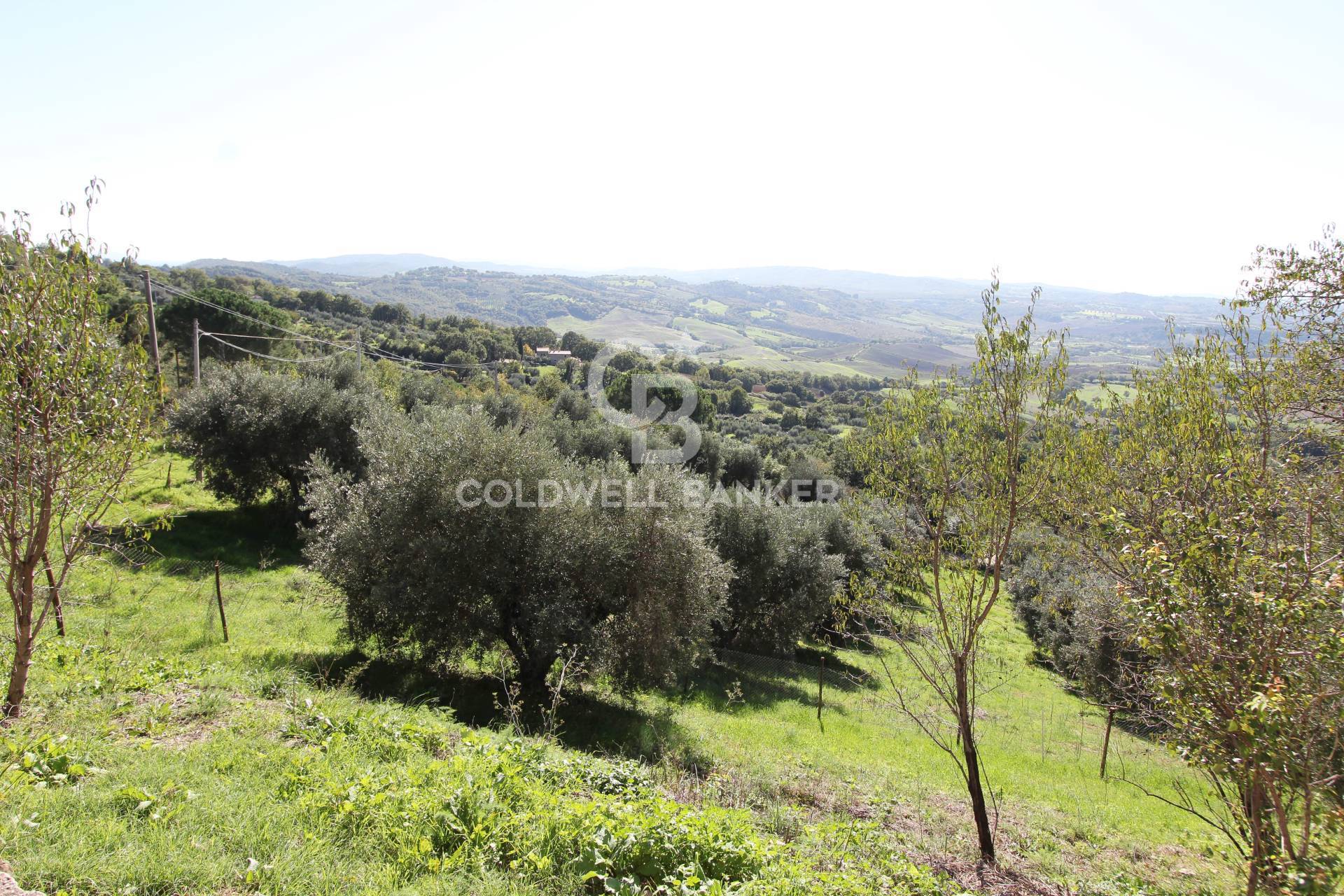 Casa indipendente in vendita, Manciano poggio murella