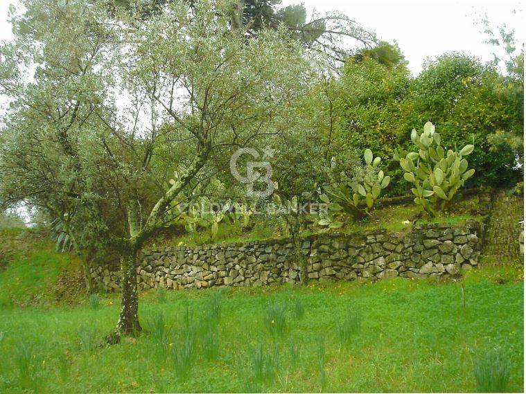 Terreno Edificabile in vendita a Velletri