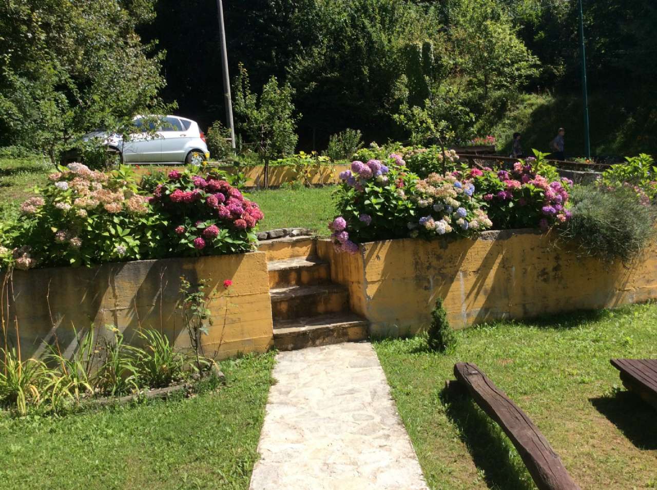 immagine annuncio 2 di 10