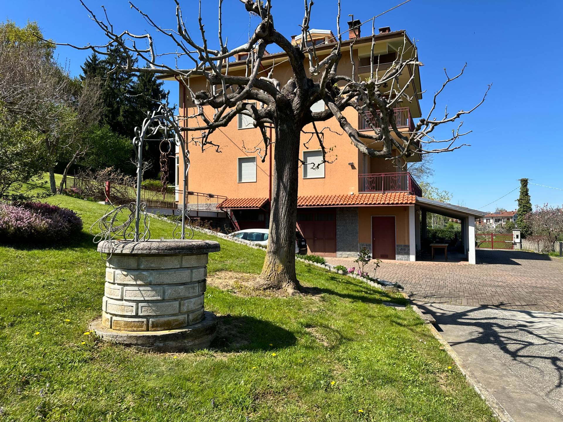 immagine annuncio 3 di 6